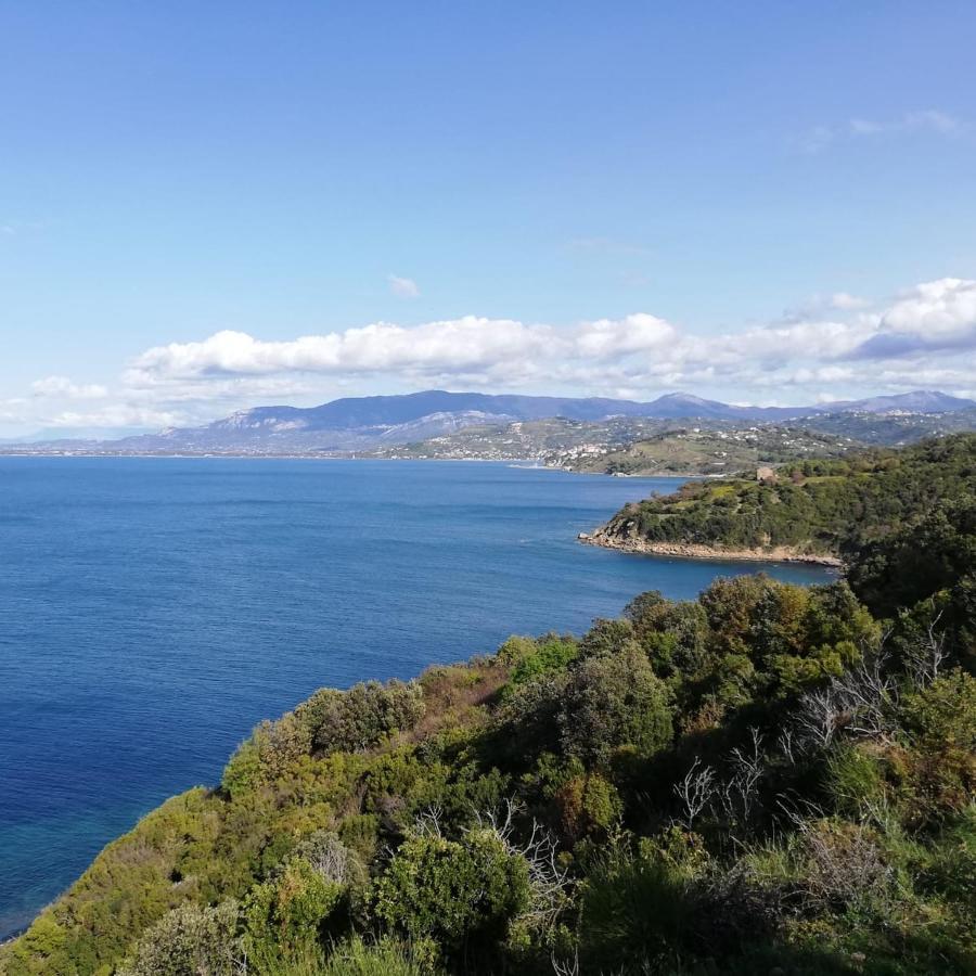 Panoramic Apartments In Villa In Center "The Beach And The Cliff" 1 Agropoli Luaran gambar